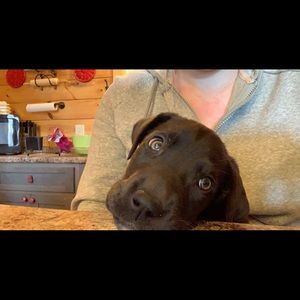 Meet your Posher, Emily